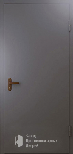 Фото двери «Техническая дверь №1 однопольная» в Перми