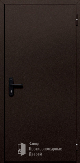 Фото двери «Однопольная глухая №110» в Перми