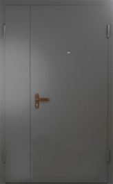 Фото двери «Техническая дверь №6 полуторная» в Перми